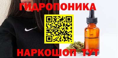 хмурый Камышлов